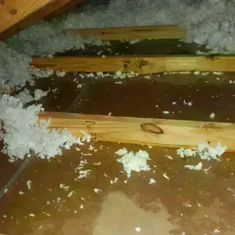 Attic Water Damage in Altamont, OR